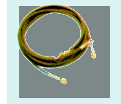Гидравлические прессы 2,2-5 кВт-4